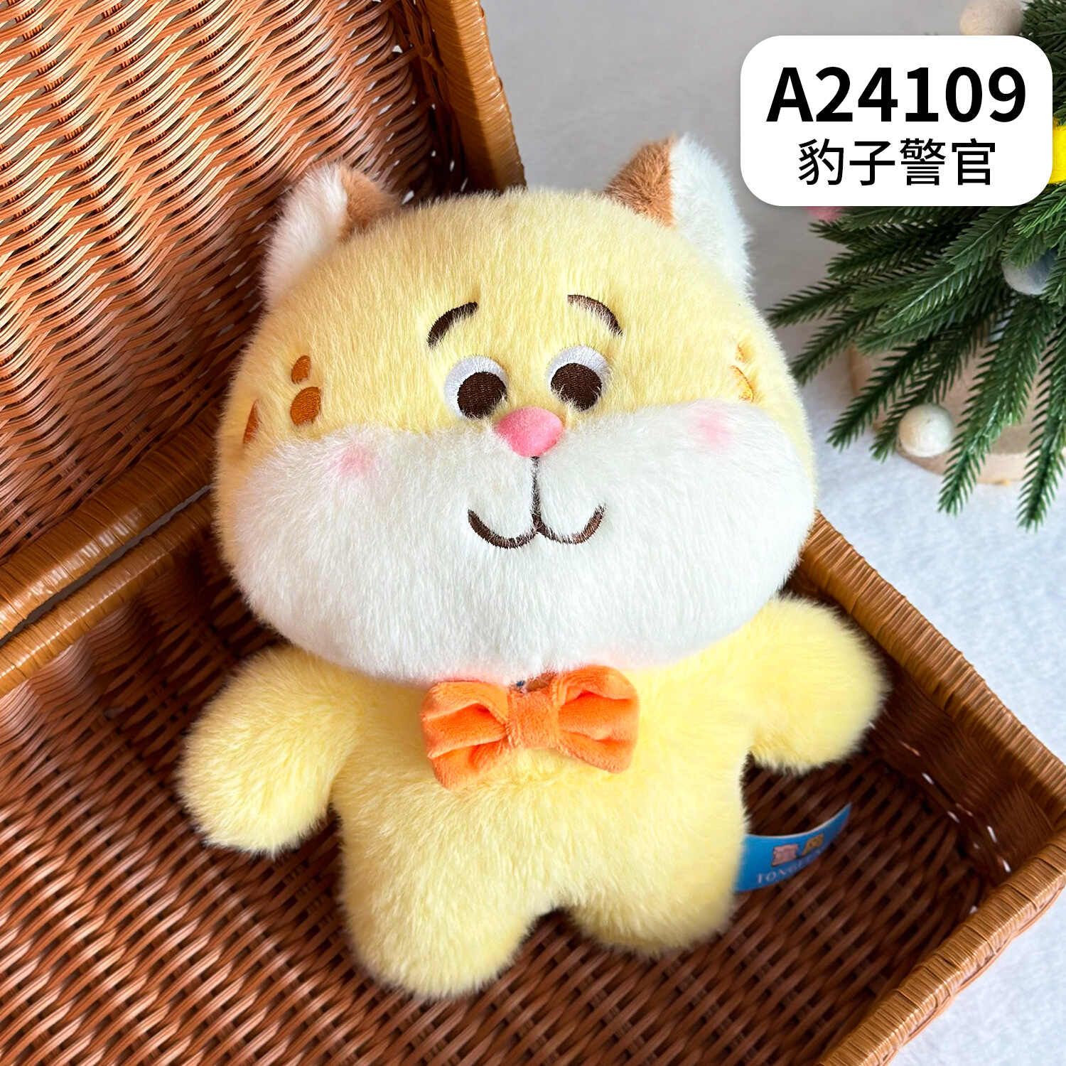 A24109