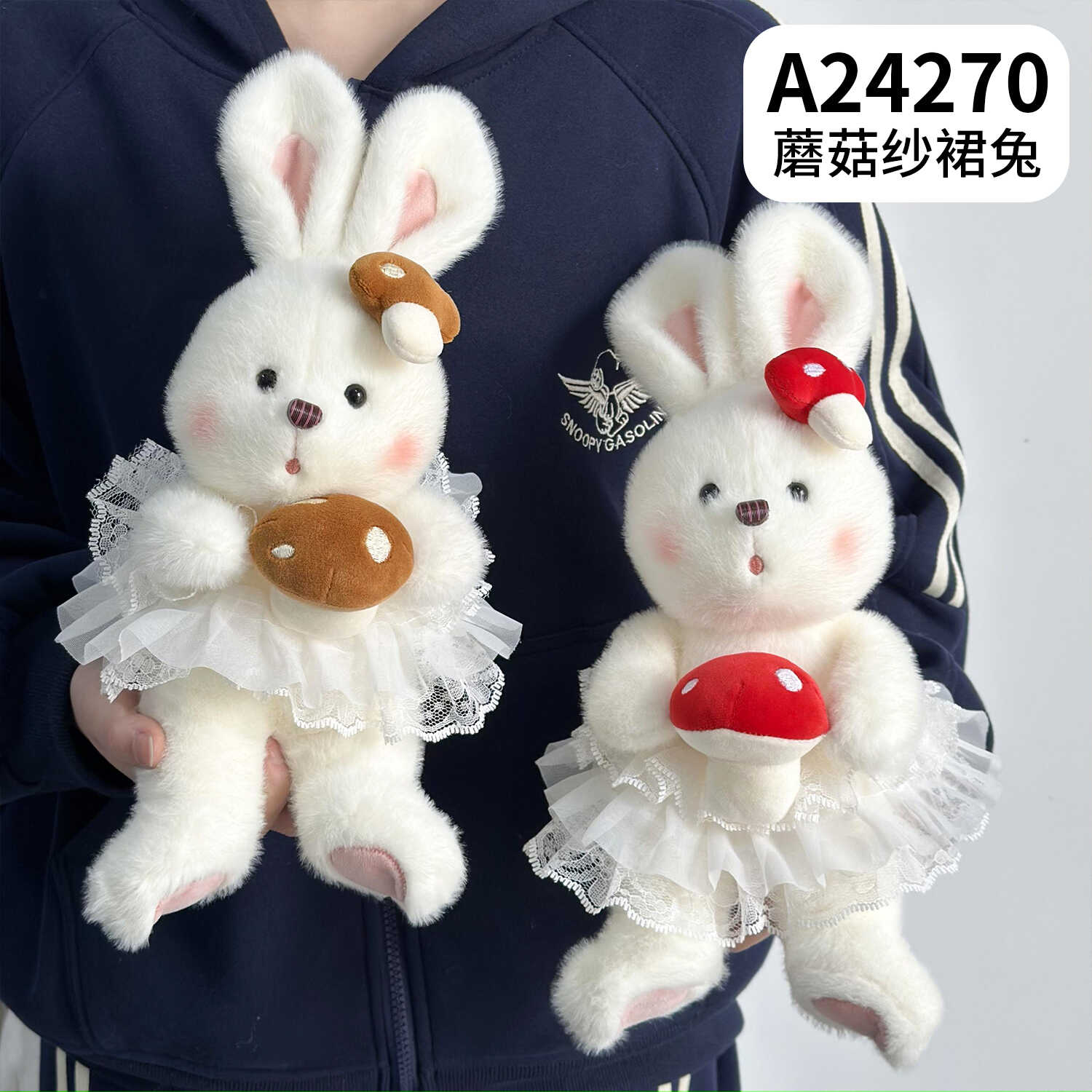 A24270