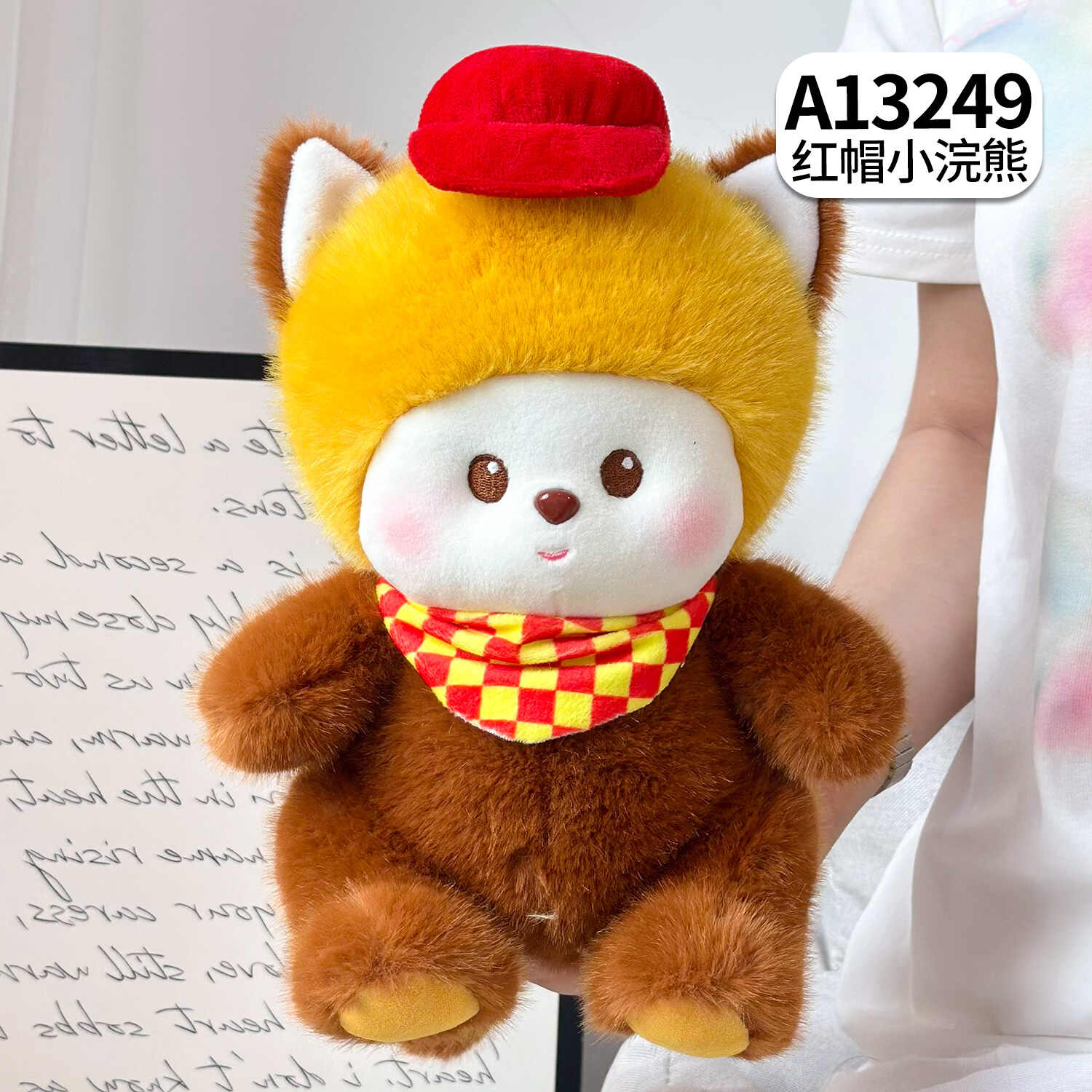 A13249