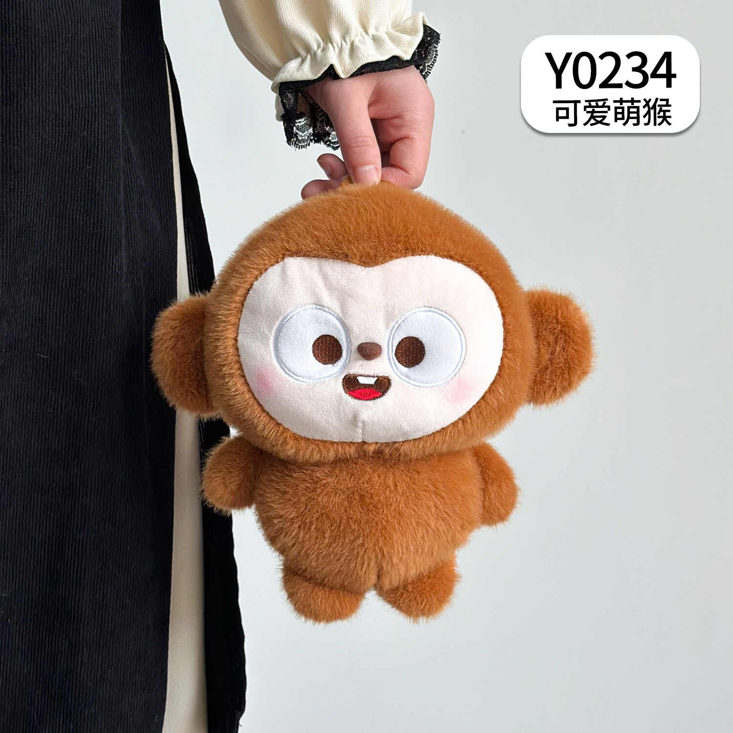 Y0234