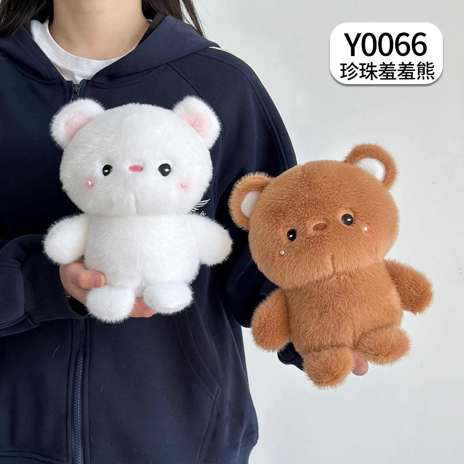 Y0066