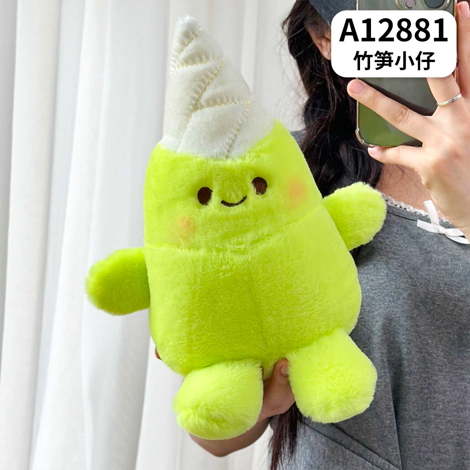 A12881