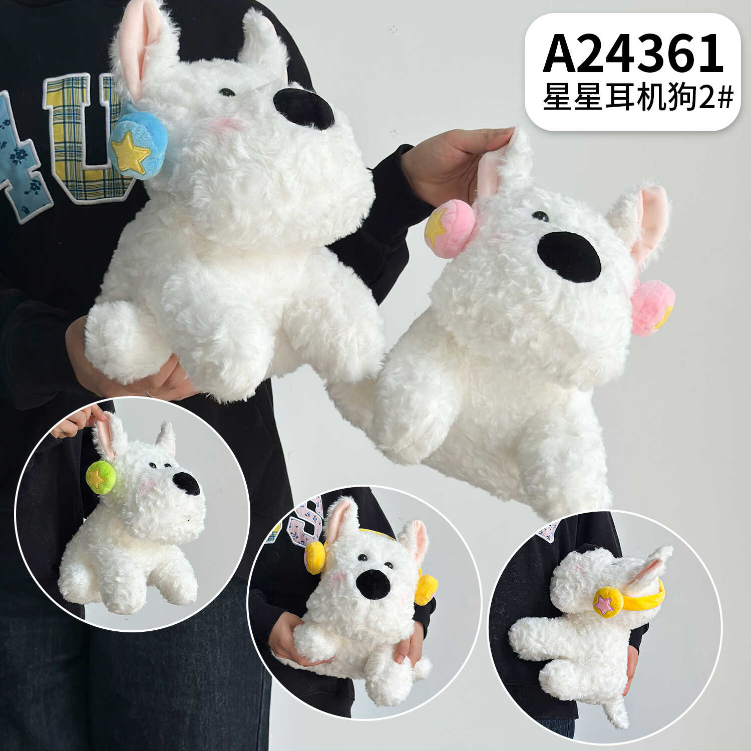 A24361