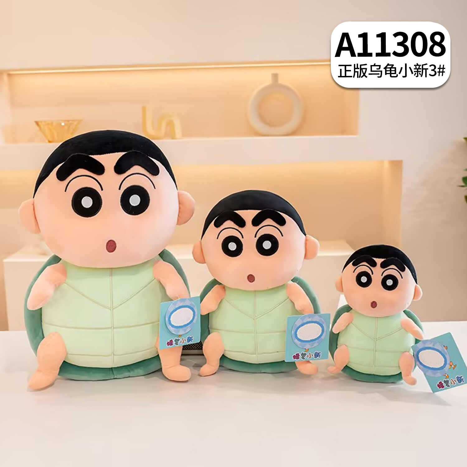 A11308