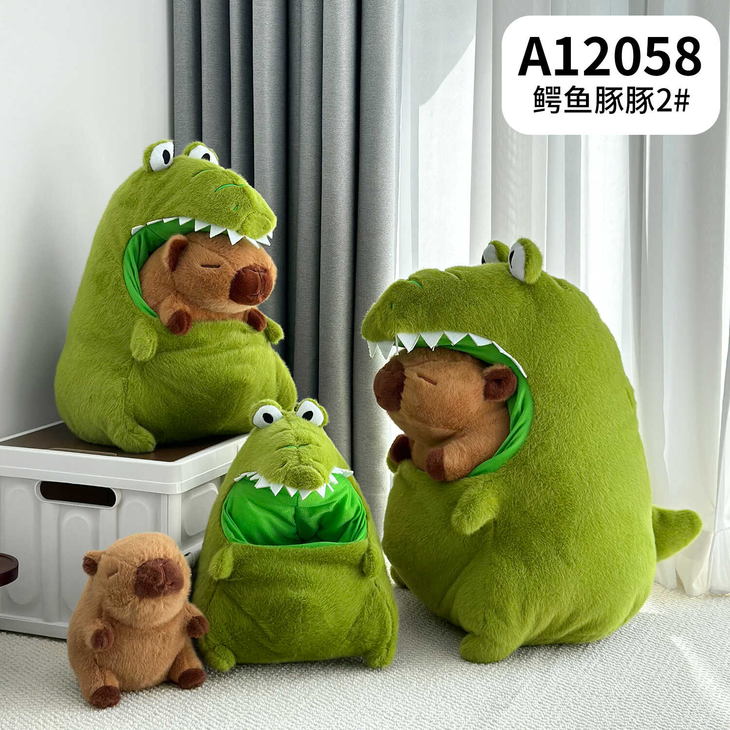 A12058