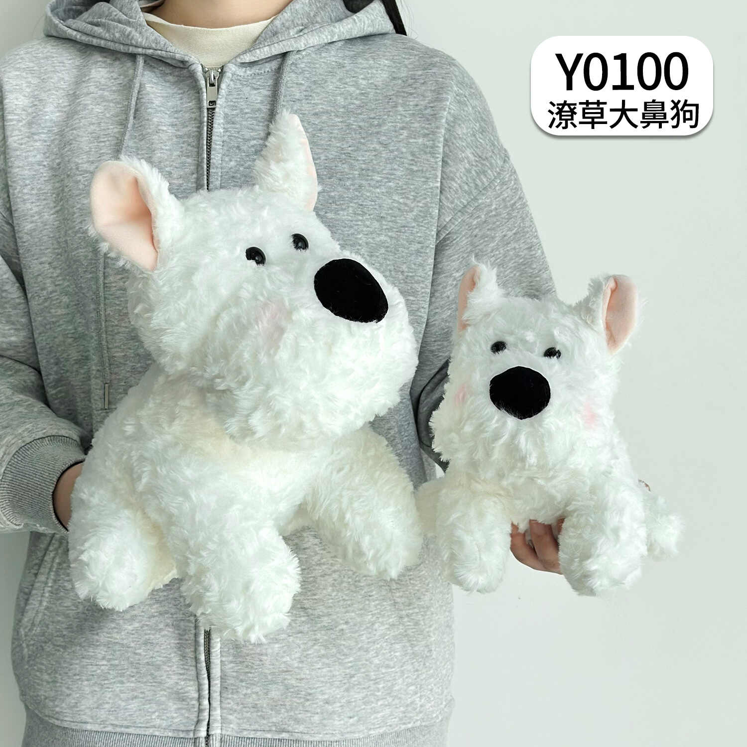 Y0100