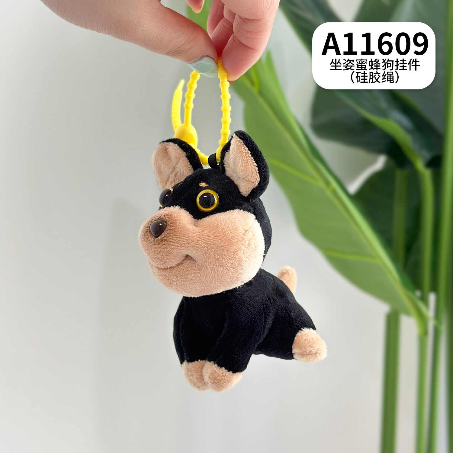 A11609