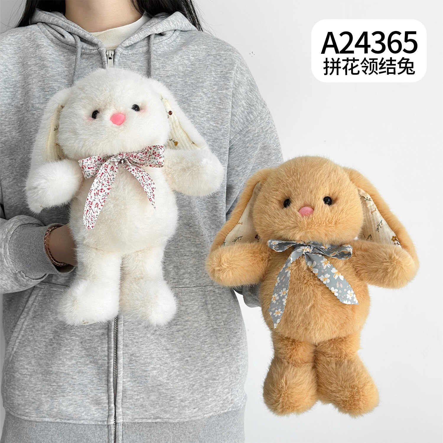 A24365