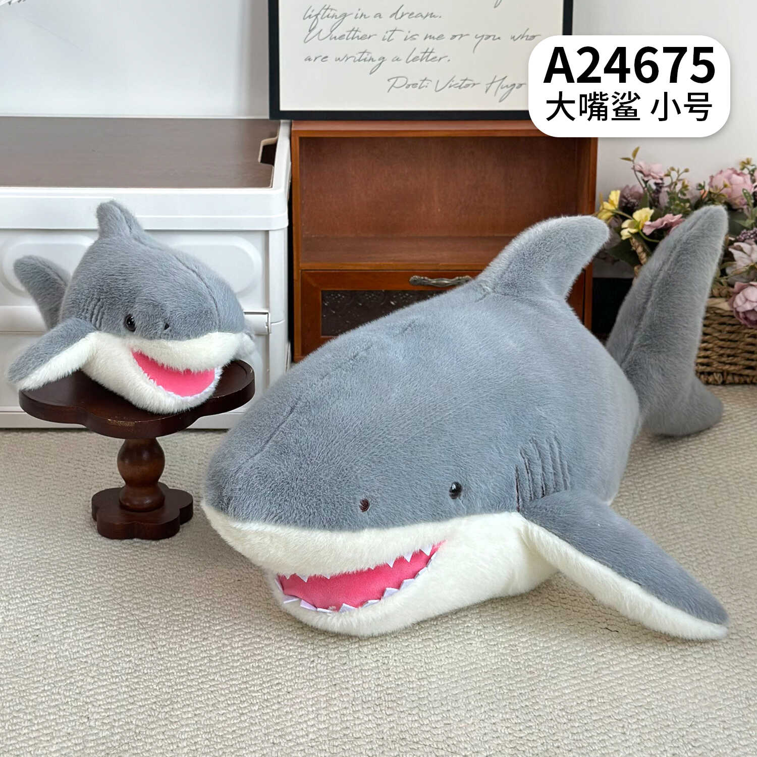 A24675